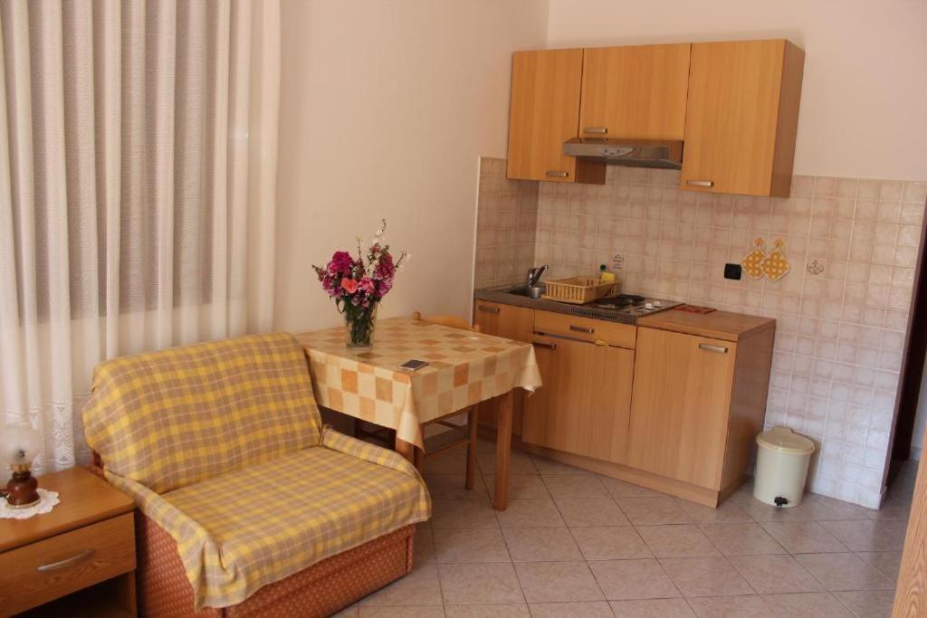 Apartments Manuel Novigrad  ภายนอก รูปภาพ