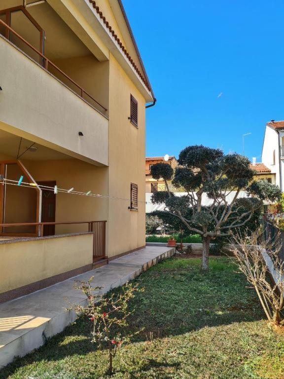 Apartments Manuel Novigrad  ภายนอก รูปภาพ
